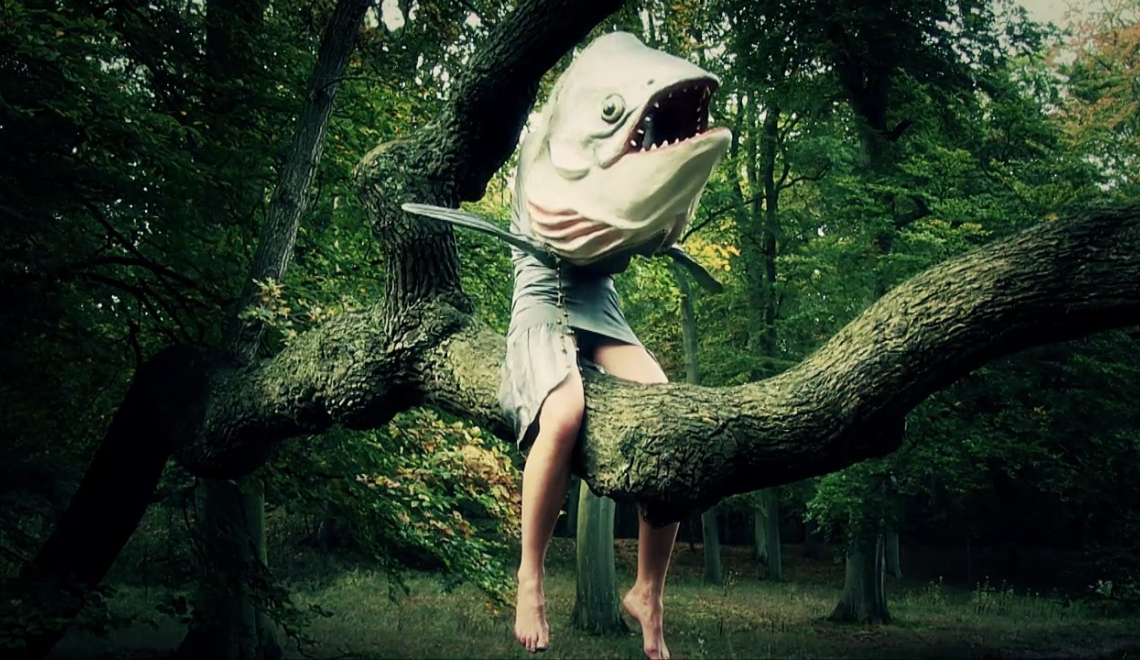 Film Into the Woods by Marlijn Franken - from Vimeo - CC BY-NC-SA 2 Filmausschnitt aus dem Film Into the Woods