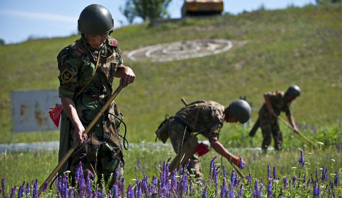 Multinational Forces Participate in Regional Cooperation 12 Exercise - U.S. Air Force Senior Airman Brett Clashman Abbildung von Soldaten auf Blumenfeld