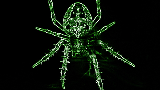 Matrix Spider | Bild zum Artikel auf interscenar.io