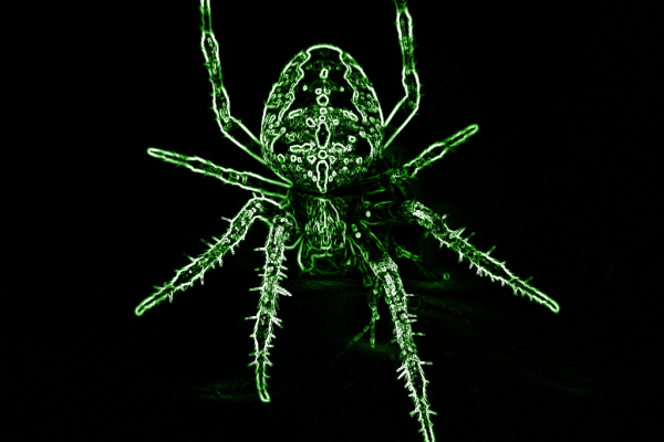 Matrix Spider | Bild zum Artikel auf interscenar.io