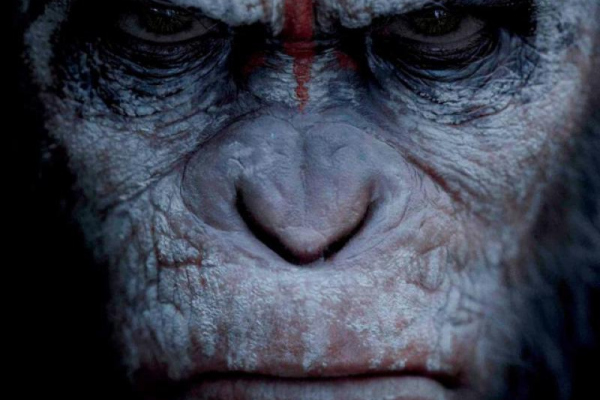 Abbildung des BluRay DVD Covers zum Kinofilm - Planet der Affen Revolution - 2014